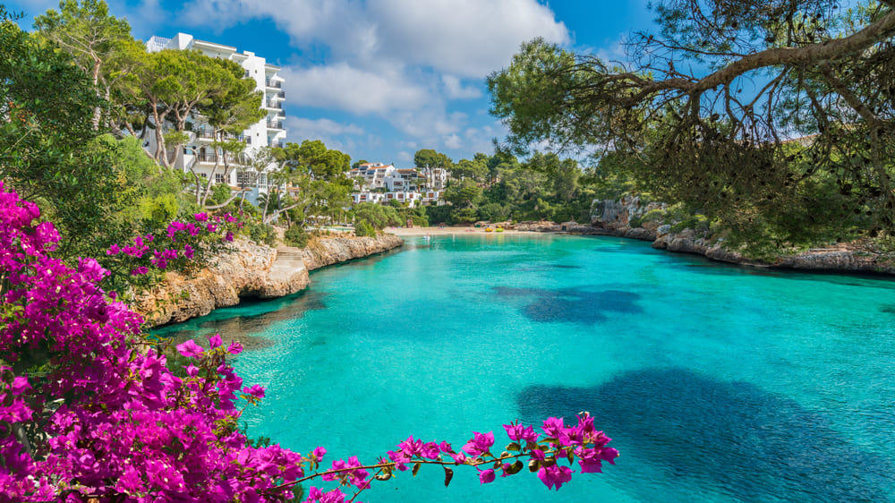 Fido Gardens - Fido Hotels - Mallorca