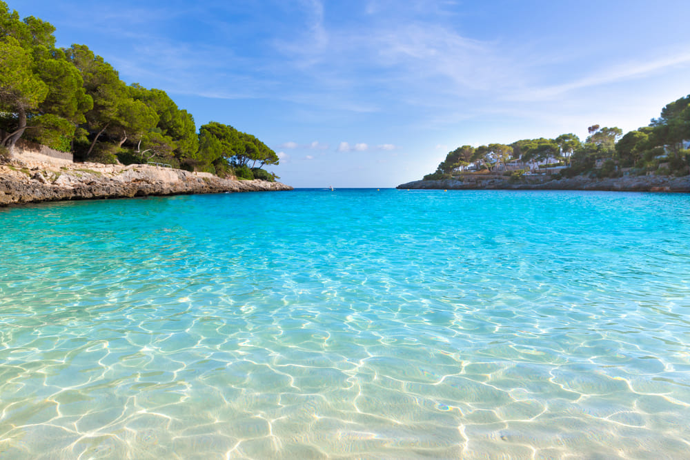 Fido Tucán - Fido Hotels - Mallorca