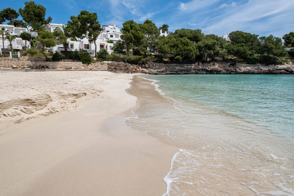 Fido Tucán - Fido Hotels - Mallorca