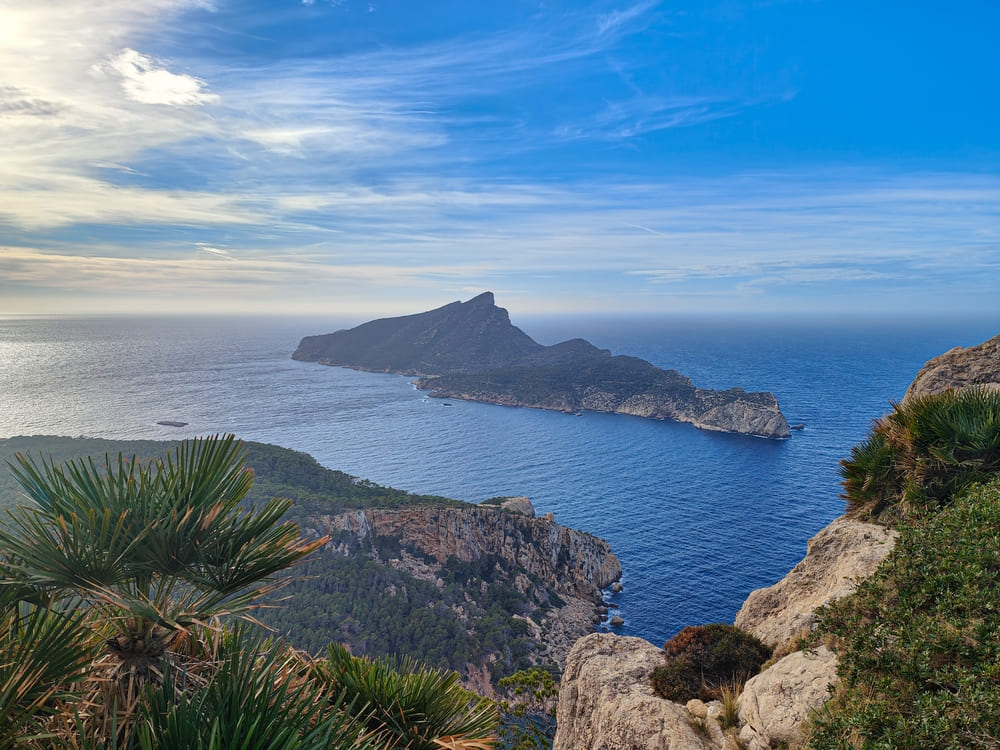 Entorno - Fido Hotels - Mallorca