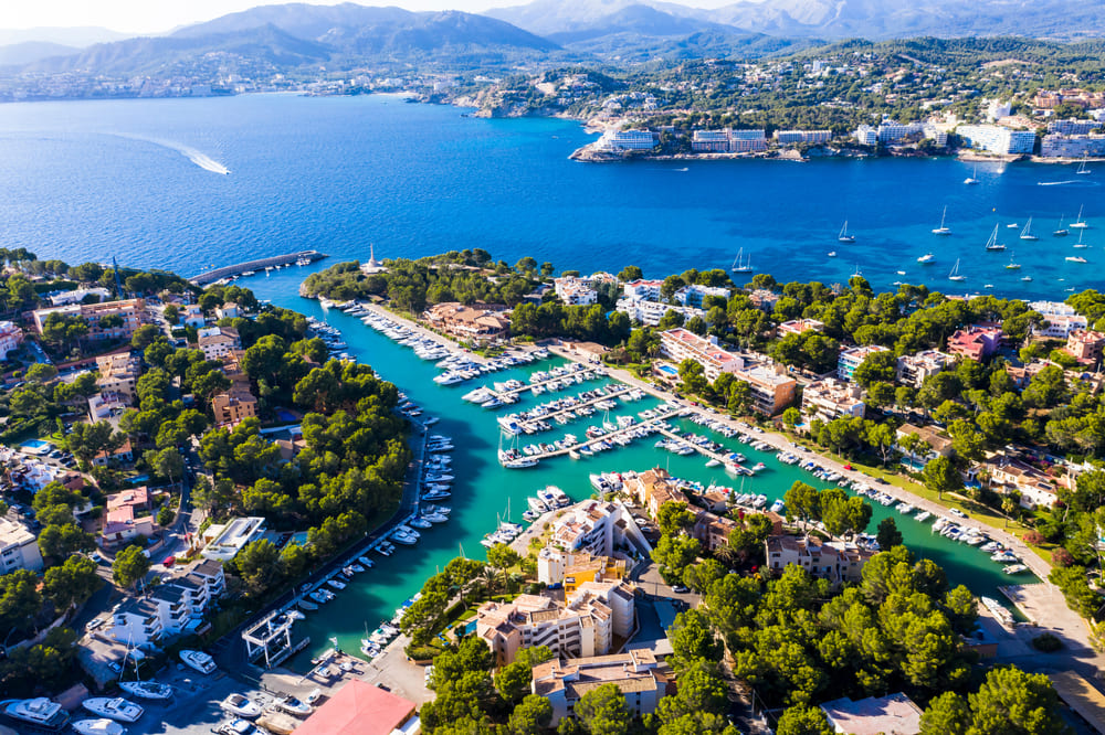 Punta del Mar - Fido Hotels - Mallorca