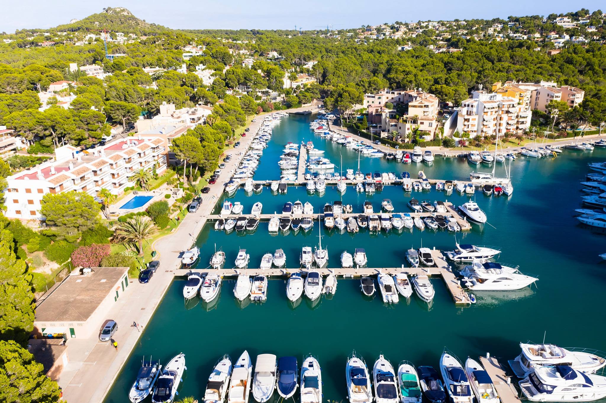 Sport - Fido Hotels - Mallorca - 15 Imagen de Sport - Fido Hotels 1