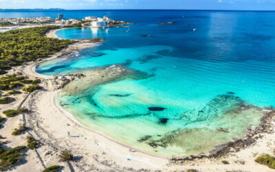 Blog - Fido Hotels - Mallorca - 2 Die besten Strände auf Mallorca: 7 fantastische Möglichkeiten, das Meer zu genießen