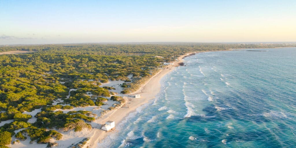 Vista aérea de la playa de Es Trenc, considerada como una de las playas más bonitas de Mallorca.
